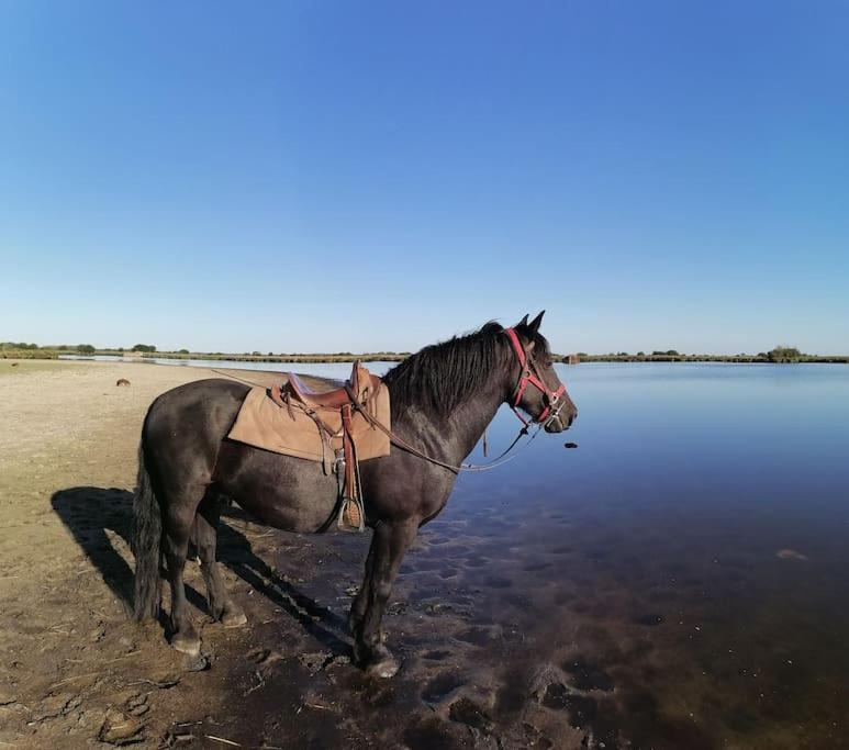 Gite A Saint Andre Des Eaux Ngoại thất bức ảnh