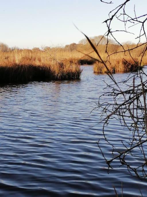 Gite A Saint Andre Des Eaux Ngoại thất bức ảnh