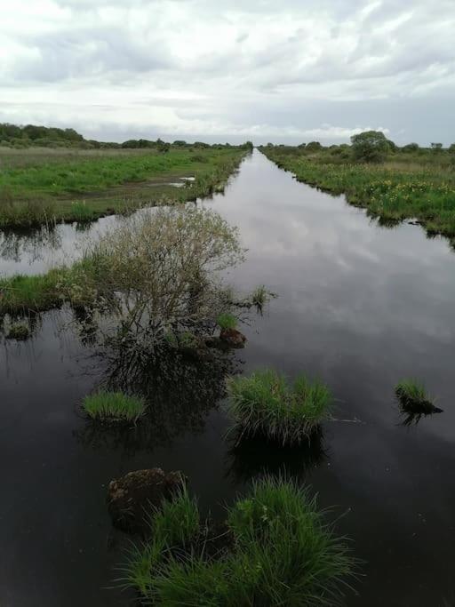 Gite A Saint Andre Des Eaux Ngoại thất bức ảnh
